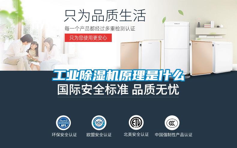 工業(yè)除濕機原理是什么
