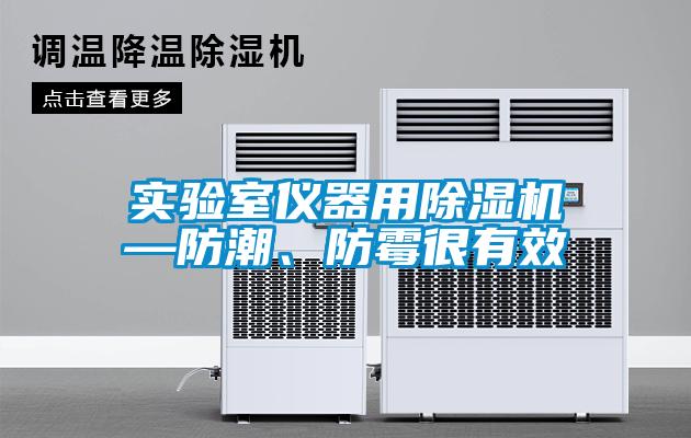 實(shí)驗(yàn)室儀器用除濕機(jī)—防潮、防霉很有效