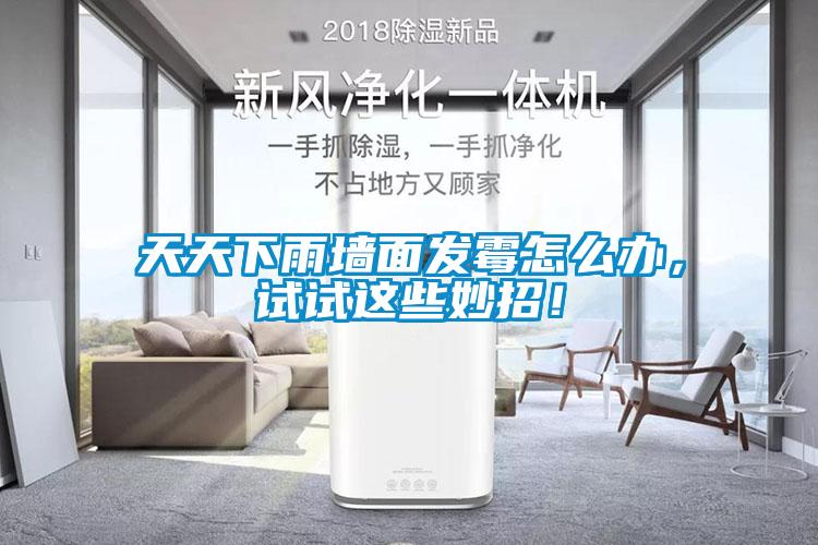 天天下雨墻面發(fā)霉怎么辦，試試這些妙招！