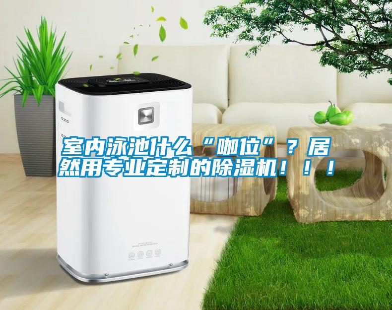室內泳池什么“咖位”？居然用專業(yè)定制的除濕機?。?！