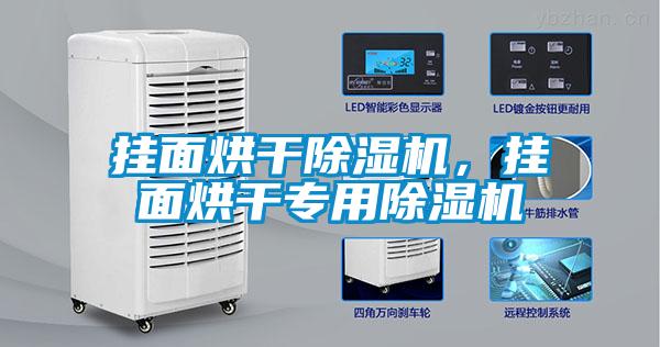 掛面烘干除濕機，掛面烘干專用除濕機
