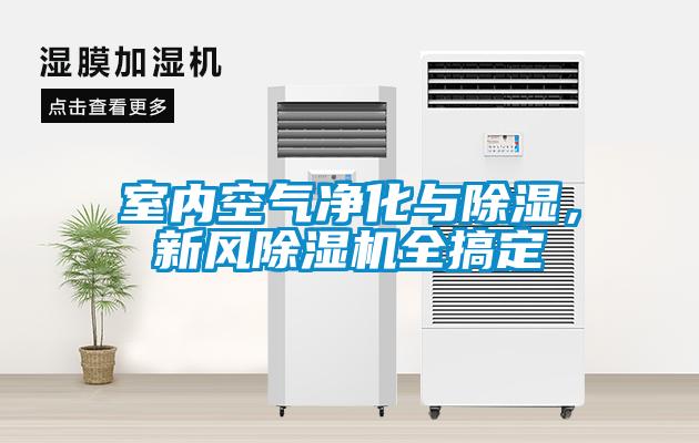 室內(nèi)空氣凈化與除濕，新風除濕機全搞定