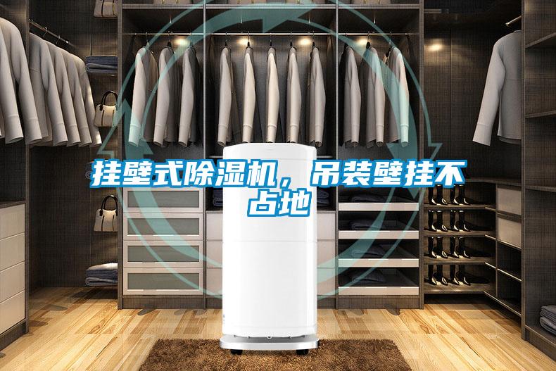 掛壁式除濕機(jī)，吊裝壁掛不占地