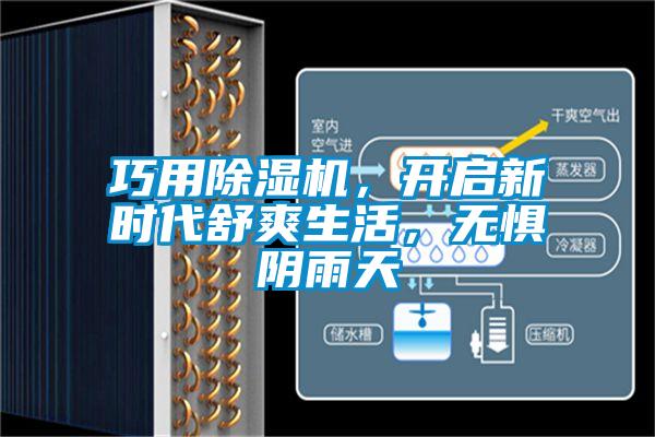 巧用除濕機，開啟新時代舒爽生活，無懼陰雨天