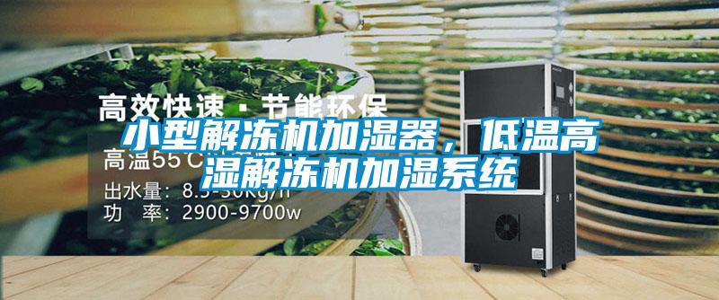 小型解凍機(jī)加濕器，低溫高濕解凍機(jī)加濕系統(tǒng)