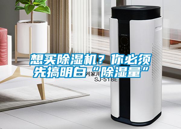 想買除濕機？你必須先搞明白“除濕量”