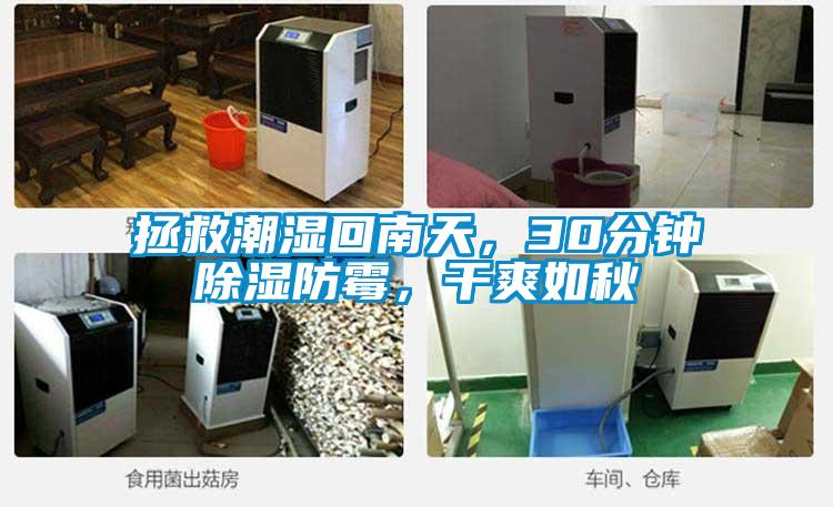 拯救潮濕回南天，30分鐘除濕防霉，干爽如秋