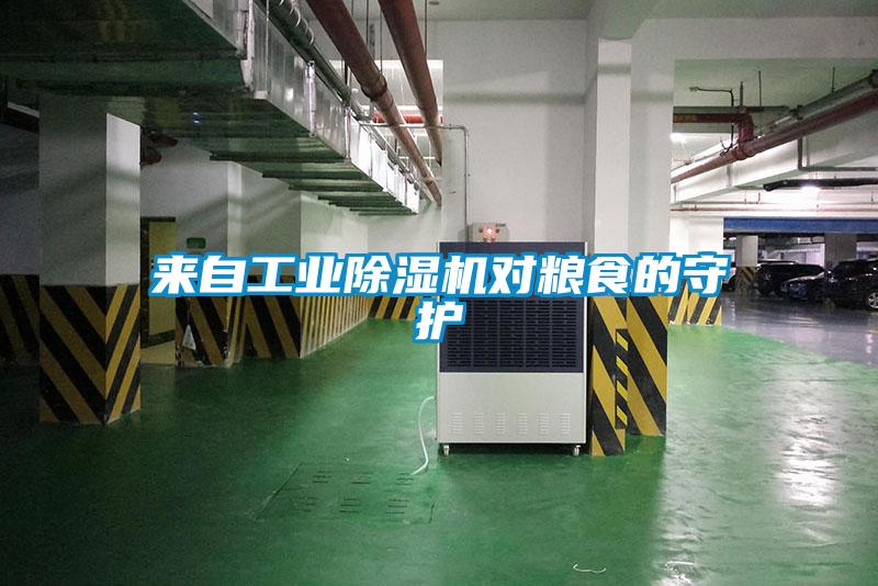 來(lái)自工業(yè)除濕機(jī)對(duì)糧食的守護(hù)