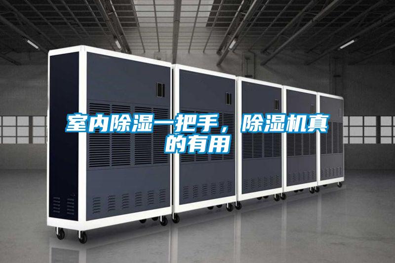 室內(nèi)除濕一把手，除濕機(jī)真的有用
