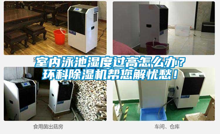 室內(nèi)泳池濕度過高怎么辦？環(huán)科除濕機幫您解憂愁！
