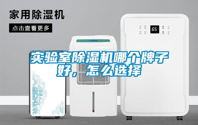 實驗室除濕機哪個牌子好，怎么選擇