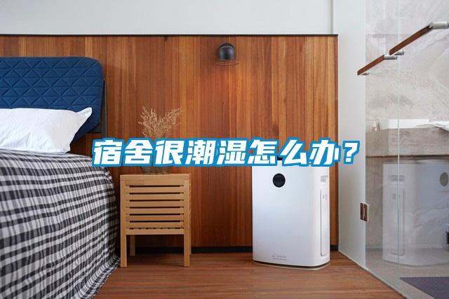 宿舍很潮濕怎么辦？