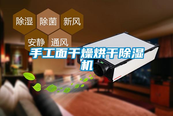 手工面干燥烘干除濕機(jī)