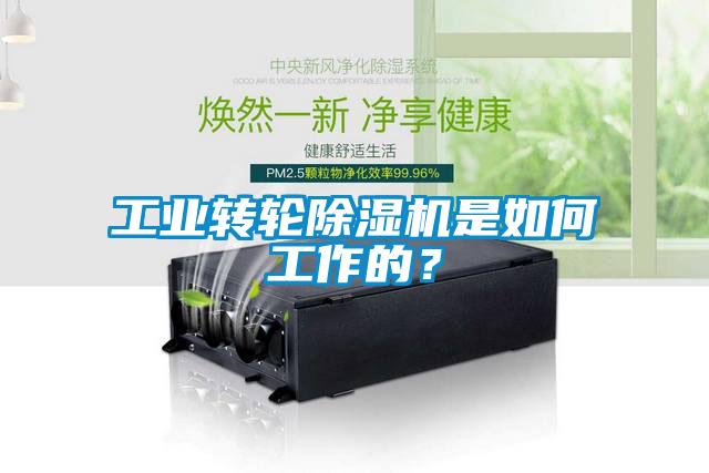 工業(yè)轉(zhuǎn)輪除濕機是如何工作的？