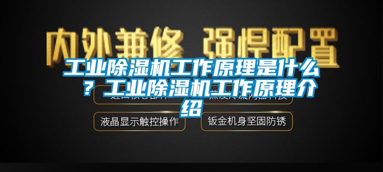 工業(yè)除濕機工作原理是什么 ？工業(yè)除濕機工作原理介紹