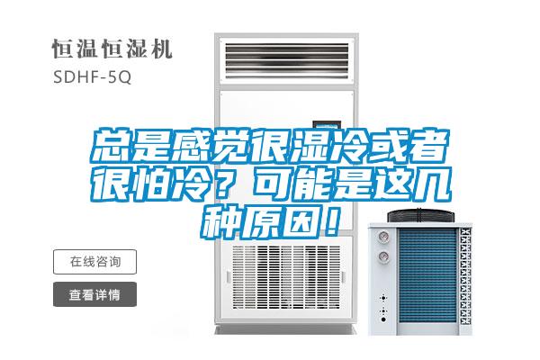 總是感覺很濕冷或者很怕冷？可能是這幾種原因！
