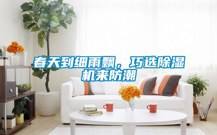 春天到細(xì)雨飄，巧選除濕機(jī)來(lái)防潮