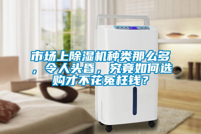 市場上除濕機種類那么多，令人頭昏，究竟如何選購才不花冤枉錢？