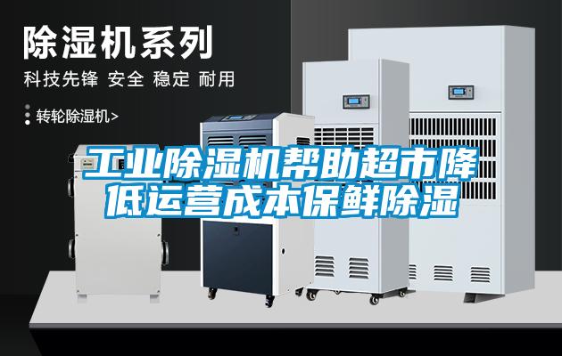 工業(yè)除濕機(jī)幫助超市降低運(yùn)營成本保鮮除濕
