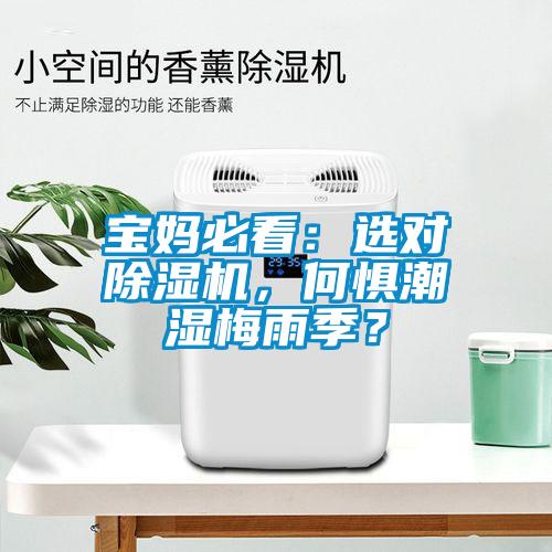 寶媽必看：選對除濕機，何懼潮濕梅雨季？