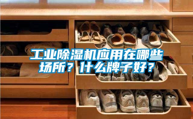 工業(yè)除濕機應(yīng)用在哪些場所？什么牌子好？