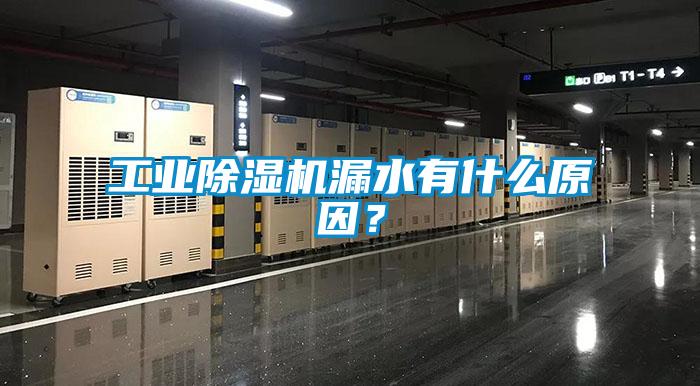 工業(yè)除濕機(jī)漏水有什么原因？