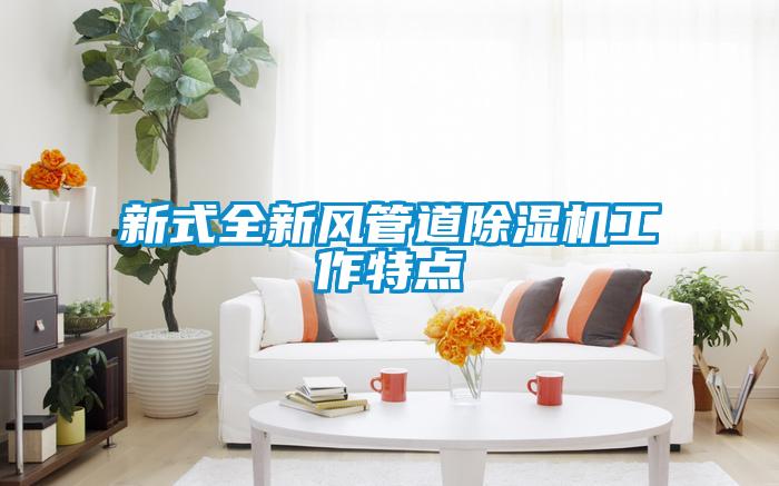 新式全新風(fēng)管道除濕機(jī)工作特點(diǎn)