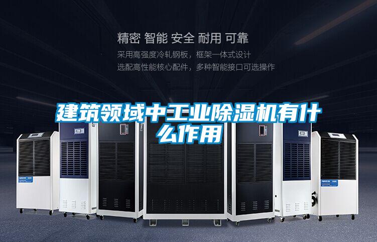 建筑領(lǐng)域中工業(yè)除濕機有什么作用