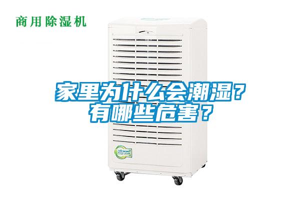 家里為什么會潮濕？有哪些危害？