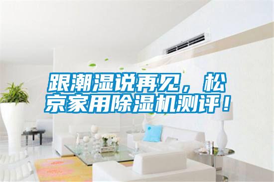 跟潮濕說再見，松京家用除濕機(jī)測評！