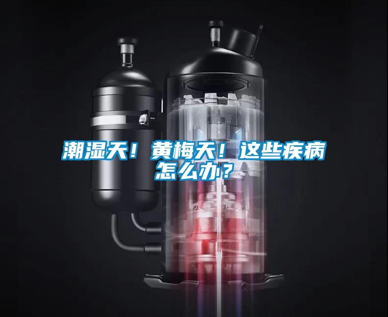 潮濕天！黃梅天！這些疾病怎么辦？