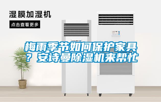 梅雨季節(jié)如何保護(hù)家具？安詩曼除濕機(jī)來幫忙