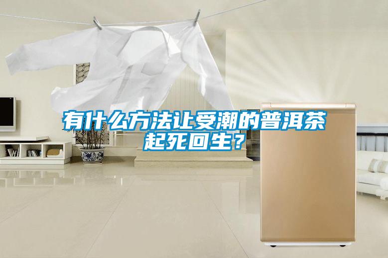 有什么方法讓受潮的普洱茶起死回生？