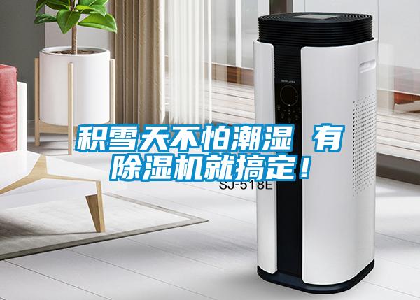 積雪天不怕潮濕 有除濕機就搞定！