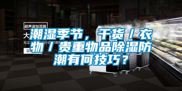 潮濕季節(jié)，干貨／衣物／貴重物品除濕防潮有何技巧？