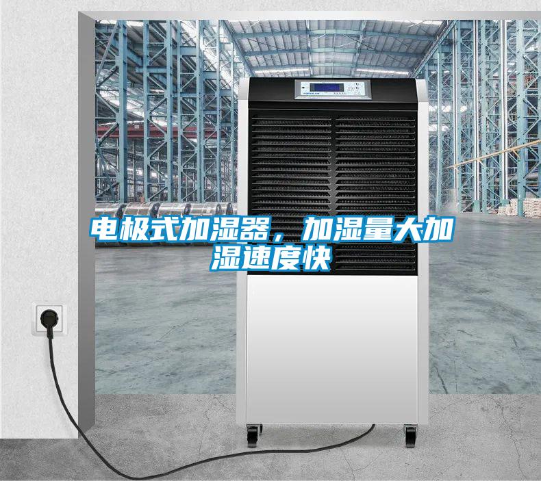 電極式加濕器，加濕量大加濕速度快