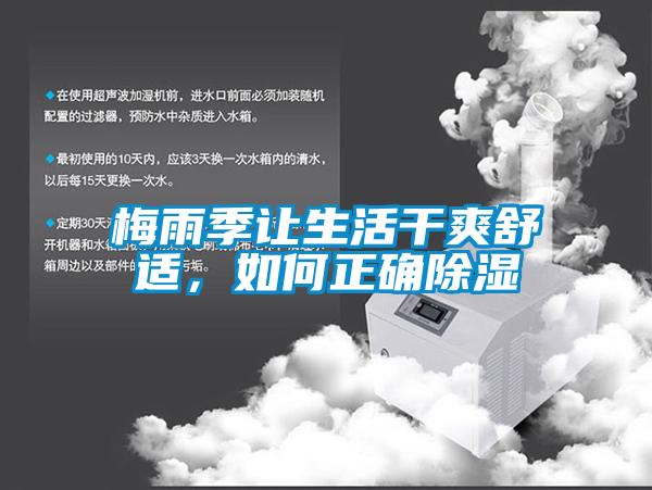梅雨季讓生活干爽舒適，如何正確除濕