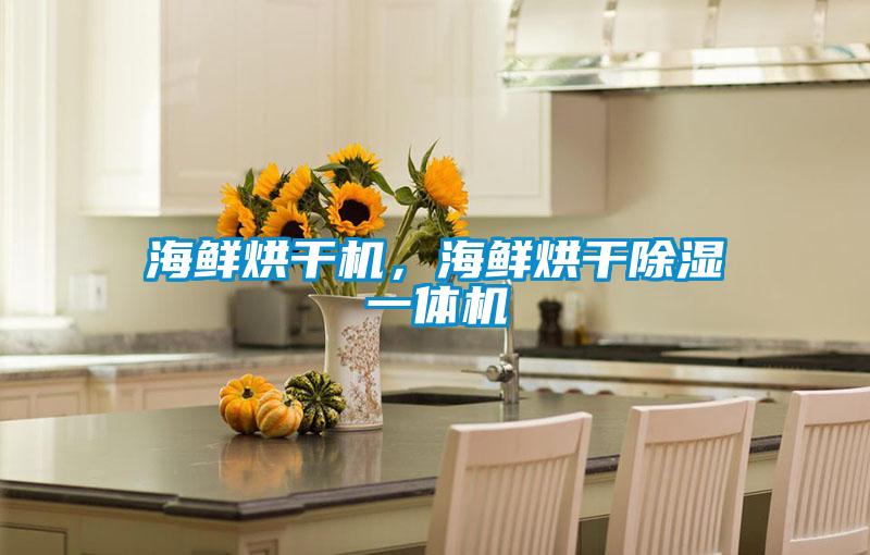 海鮮烘干機(jī)，海鮮烘干除濕一體機(jī)