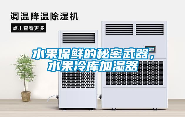 水果保鮮的秘密武器，水果冷庫加濕器