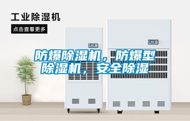 防爆除濕機(jī)，防爆型除濕機(jī)，安全除濕