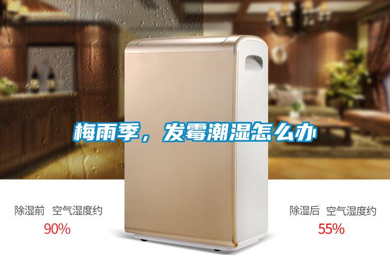 梅雨季，發(fā)霉潮濕怎么辦