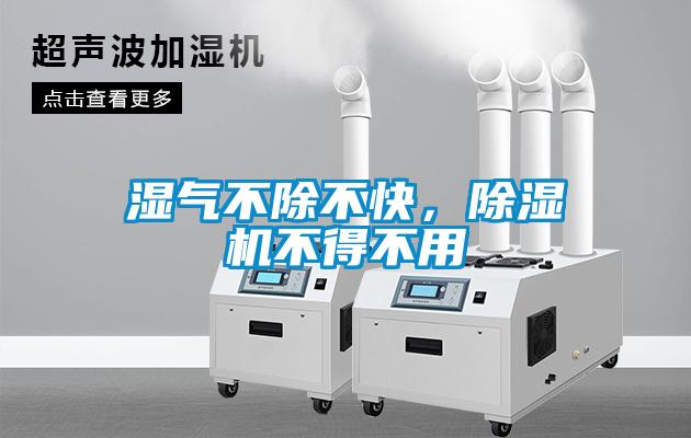 濕氣不除不快，除濕機(jī)不得不用