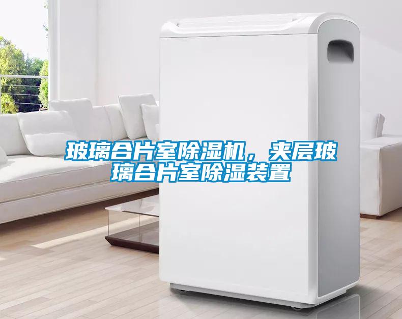 玻璃合片室除濕機(jī)，夾層玻璃合片室除濕裝置
