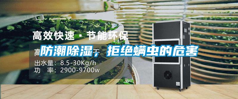 防潮除濕，拒絕螨蟲(chóng)的危害