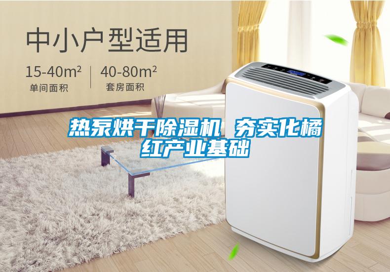 熱泵烘干除濕機(jī) 夯實化橘紅產(chǎn)業(yè)基礎(chǔ)