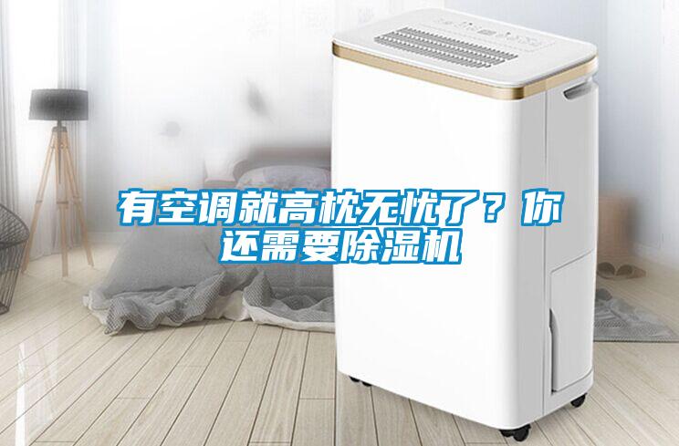 有空調(diào)就高枕無(wú)憂了？你還需要除濕機(jī)