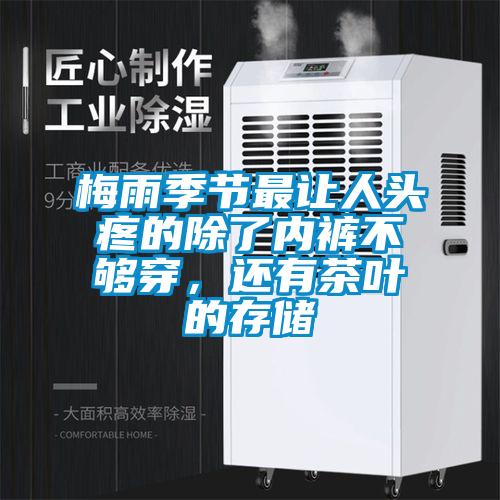 梅雨季節(jié)最讓人頭疼的除了內(nèi)褲不夠穿，還有茶葉的存儲