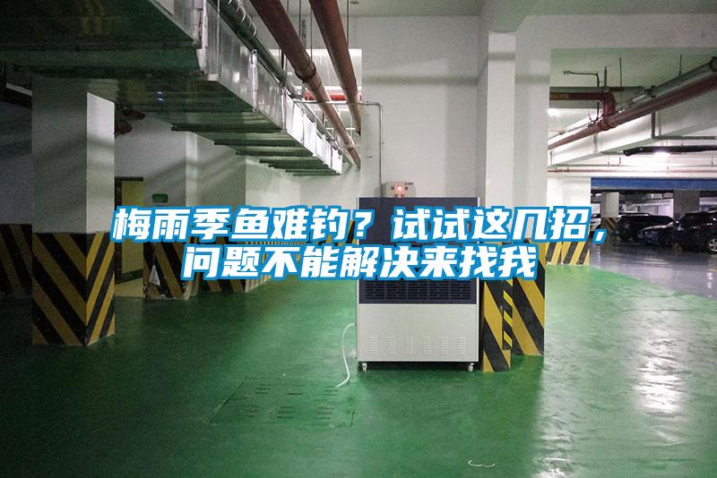 梅雨季魚難釣？試試這幾招，問題不能解決來找我
