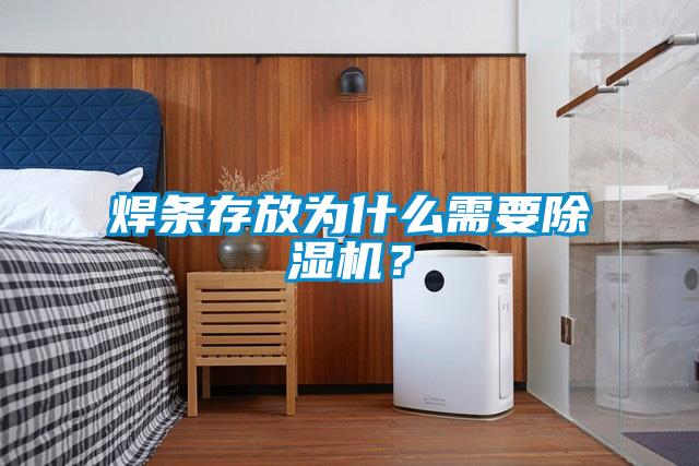焊條存放為什么需要除濕機(jī)？