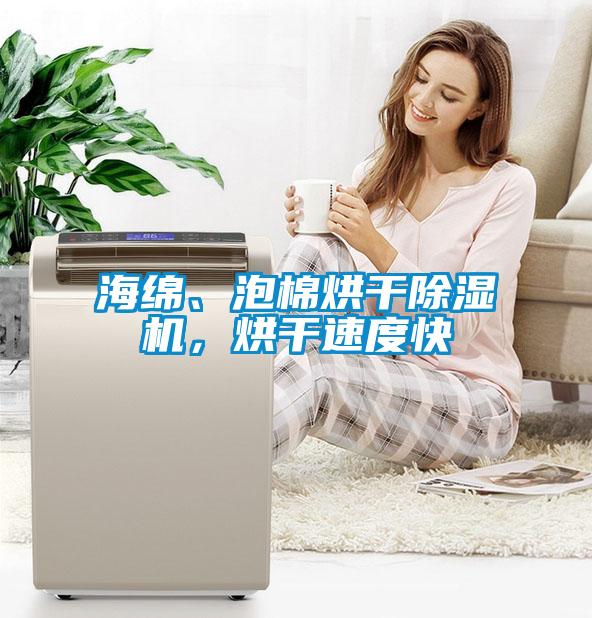 海綿、泡棉烘干除濕機(jī)，烘干速度快
